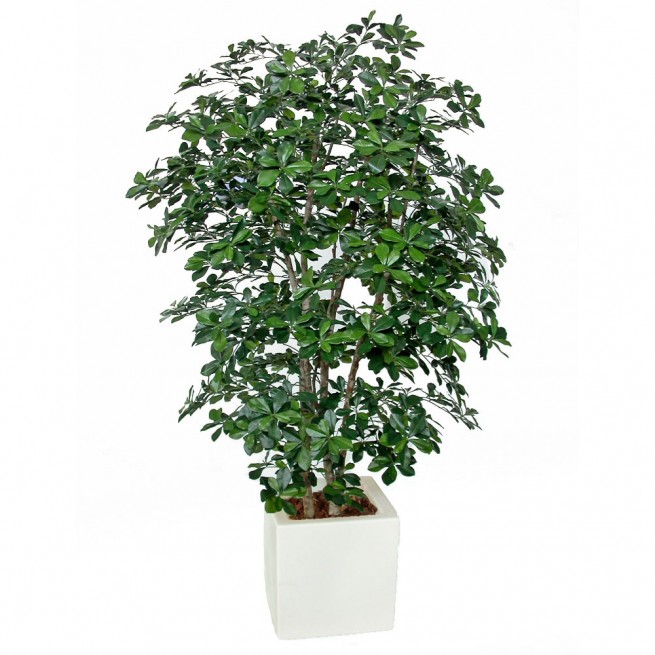 Planta semi-artificiala Ila, Buxifolia Boschetto Green - 180 cm